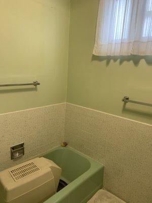 Bathroom with green tub, toilet, sink, walls and tile ..... what to do?