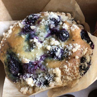 Blueberry muffin