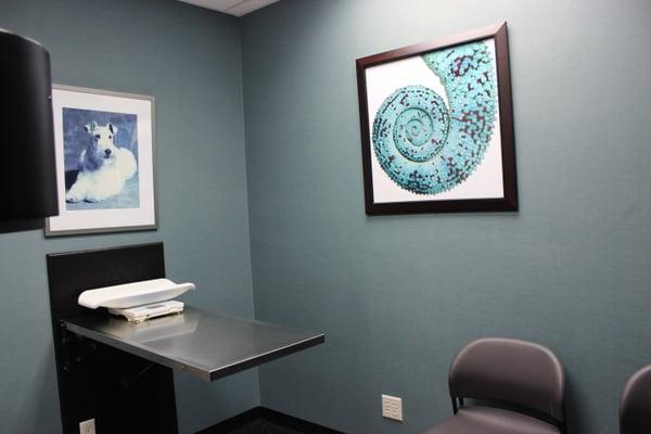 Exam Room with amazing prints!