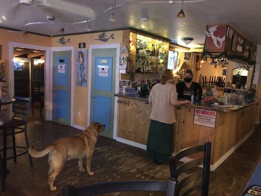 The bar dog in line for a drink?