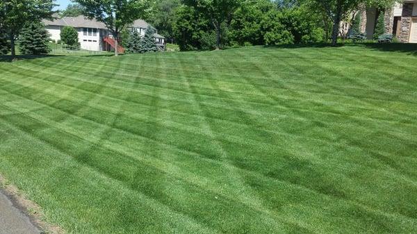 The Grounds Crew offers weekly mowing service.  Our bread and butter and original service.