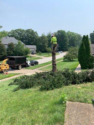 J & R's Tree Service