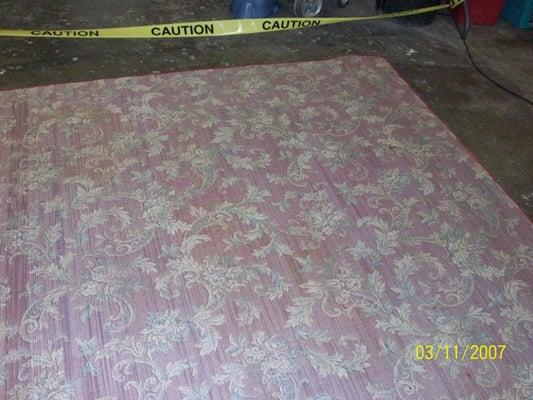 New Way Carpet Cleaning & Restoration