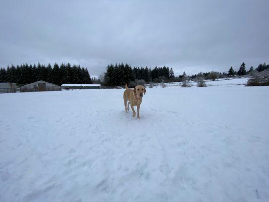 Hey what is this white stuff?