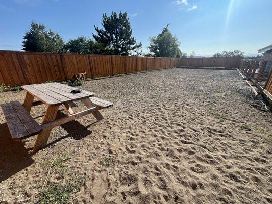 The dog park. Has space under the fence; Smaller dogs might be able to get out.