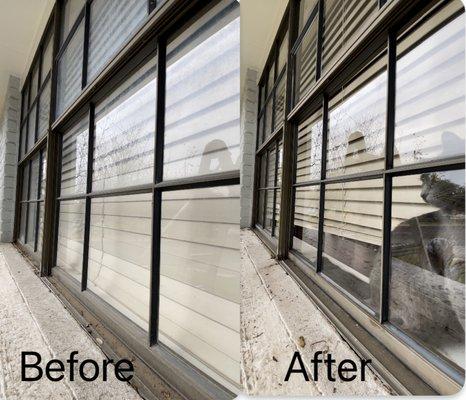 A spotless clean window in the Shavano Park area. This lovely cat enjoys the view.