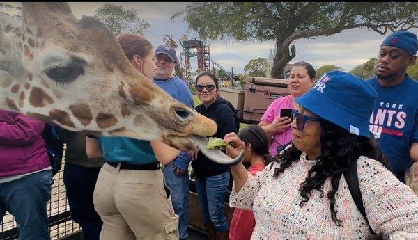 Me on safari at Busch garden