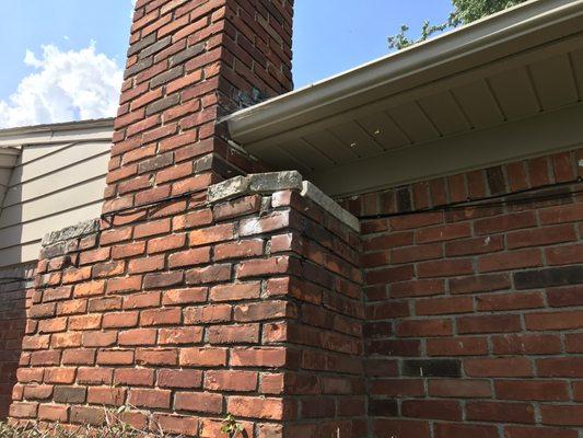 Yellow Jackets nesting in Chimney