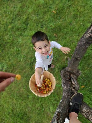 Little Orchard Preschool