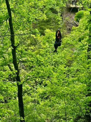 Flying high over the forest!