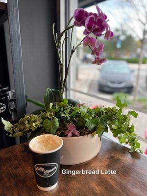 Gingerbread Latte (hot)