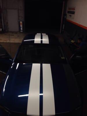 white stripe on mustang!