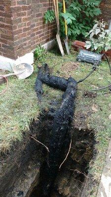 Excavating the front yard and getting rid of 23feet of roots