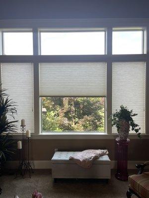 Honeycomb light filtering window treatments, partially closed