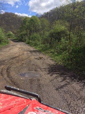 View of the trails