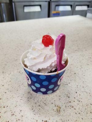 Two scoop Ice cream cup (mix and match)