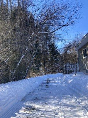 Plowed driveway