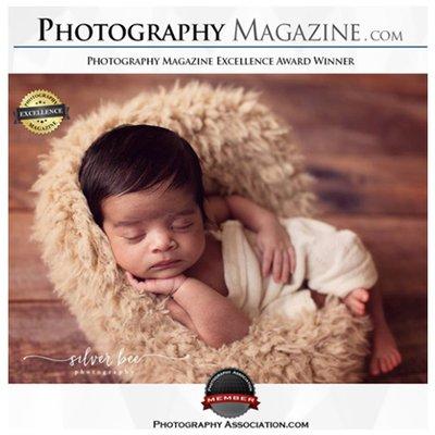 Photography Magazine.com Excellence Award Winner - Silver Bee Photography