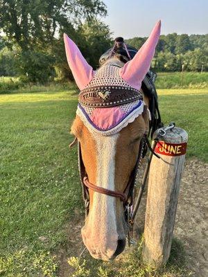 Double J Stables and Horseman's Campground