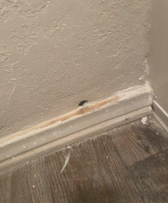 The hole they never patched after accidentally punching into my second bathroom because of Leak 2