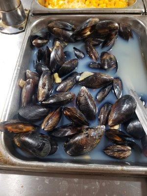 Mussels