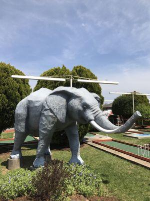 Putt Putt Golf Course