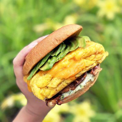 Avo Egg Sandwich made with Scrambled Egg, Cheddar Cheese, Bacon, Cilantro Aioli Sauce, Avocado, Brioche Bun.