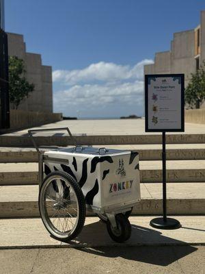 Zonkey paletas at the Salk Institute for an ice cream social event celebrating our grad students & Postdoc