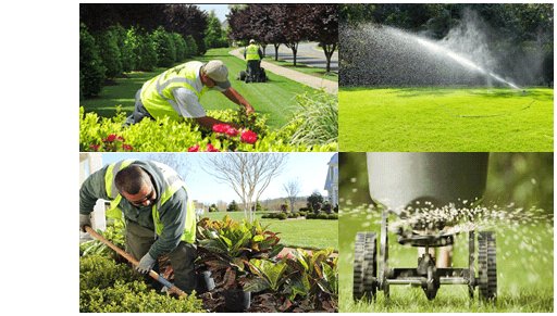 Four Seasons Lawn & Landscaping