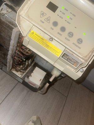 AC with roaches inside