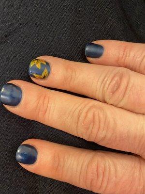 Navy Blue Matte Gel Manicure with Leaves