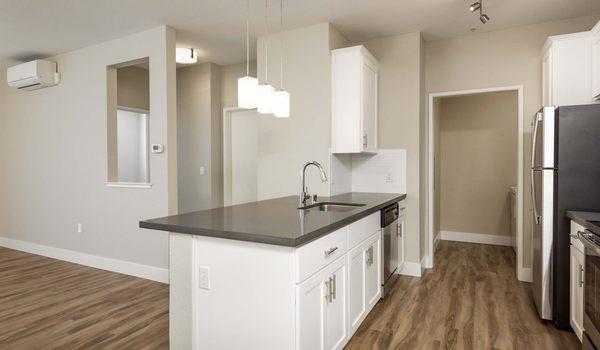 Designer cabinets, white quartz countertops and stainless steel finishes!