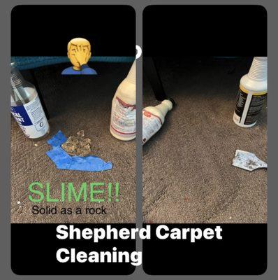 Shepherd Carpet Cleaning