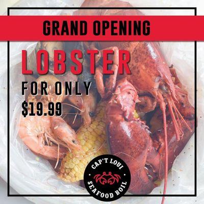 Grand opening promotion $19.99 live Lobster