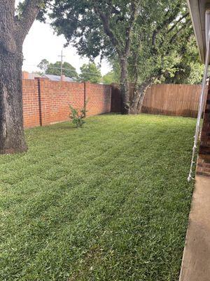 new sod project from Ryno