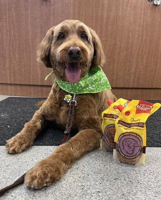 This month only, get $3 off any flavor of Primal bone broth! Grover, looking picture-perfect after a grooming session with Miah, gives it tw