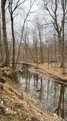 Mill Creek Metroparks- Hitchcock Woods