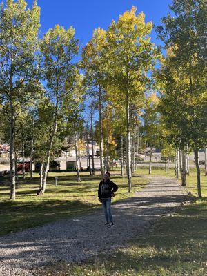 Aspens in front of Cabin six