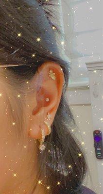 Conch and flat done by Maritza from EBM