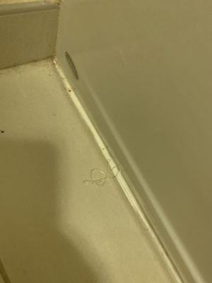 Hair in bathroom