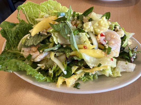 Mango salad, so fresh and so good!