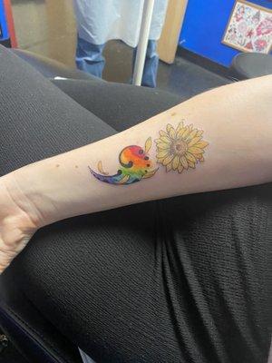 Sunflower , semicolon, rainbow