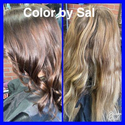 Color by Sal