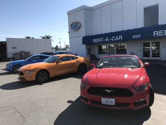 Mustangs at Galpin Rentals, Great!!!!