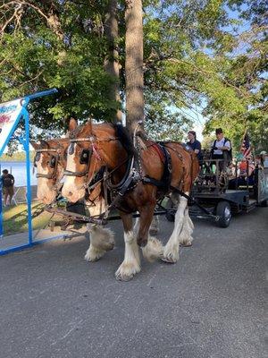 Trolley horse ride