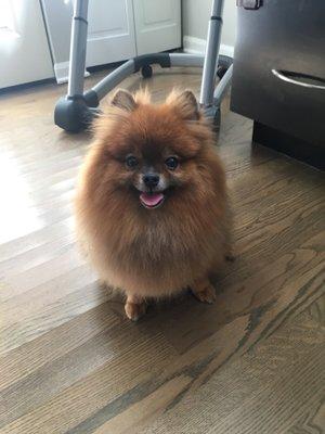 my happy little man after his bath and cut!