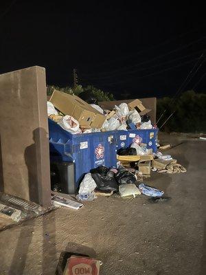 Trash dumpster and the dumpsters were full. More than a weekend collection.