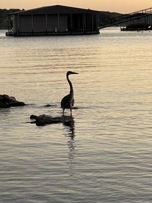 Magical sunsets captured right off your private deck or dock area.