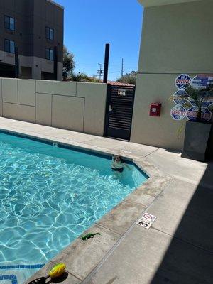 Pool is always crystal blue. My grandson loves it here.