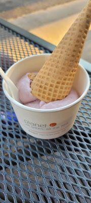 Single Scoop Mixed Berry with Coconut milk